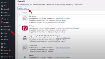 Updating WordPress plugins from the admin interface